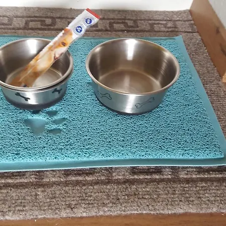 Zeitlos, Gigantischer Seeblick, Wlan, Gerne Mit Hund Winterberg