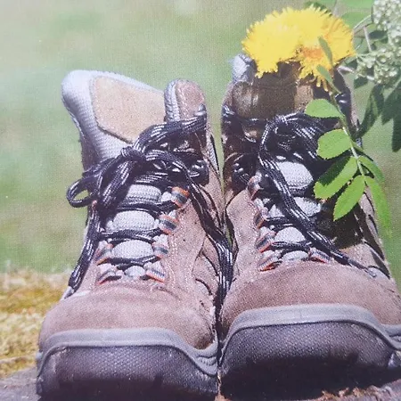 Zeitlos, Gigantischer Seeblick, Wlan, Gerne Mit Hund Apartamento *