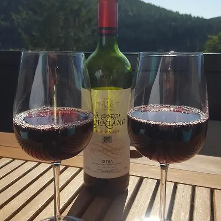 Apartment Zeitlos, Gigantischer Seeblick, Wlan, Gerne Mit Hund Winterberg