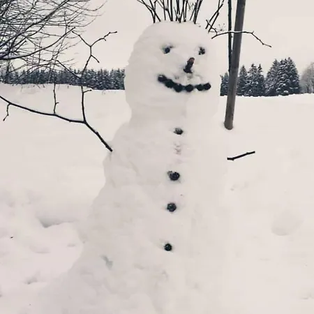 Zeitlos, Gigantischer Seeblick, Wlan, Gerne Mit Hund * Winterberg