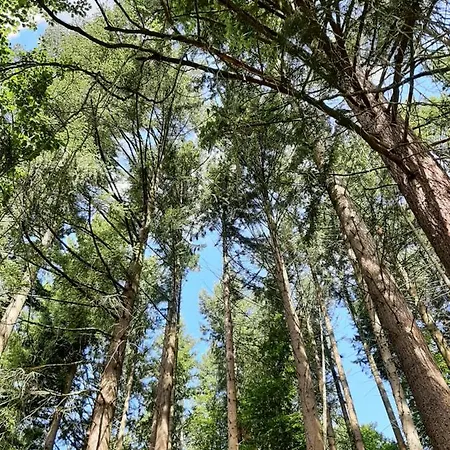 Lejlighed Zeitlos, Gigantischer Seeblick, Wlan, Gerne Mit Hund *