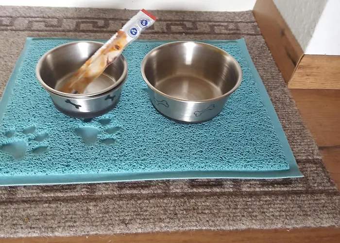 Zeitlos, Gigantischer Seeblick, Wlan, Gerne Mit Hund Winterberg