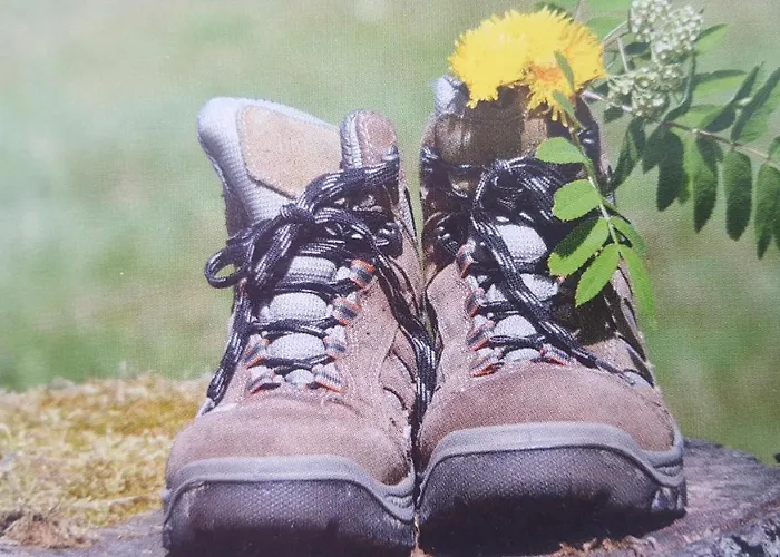 Zeitlos, Gigantischer Seeblick, Wlan, Gerne Mit Hund Appartamento *