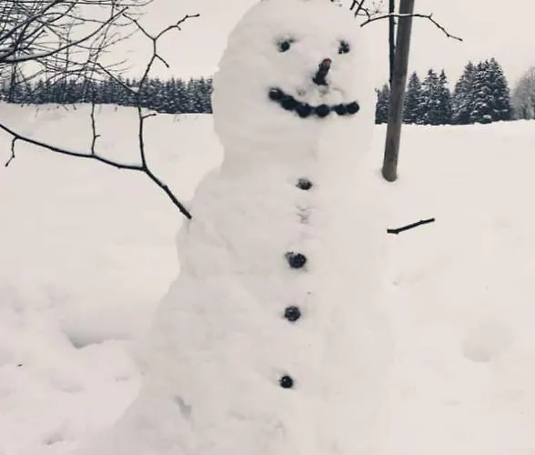 Zeitlos, Gigantischer Seeblick, Wlan, Gerne Mit Hund * Winterberg