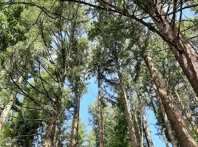 Appartamento Zeitlos, Gigantischer Seeblick, Wlan, Gerne Mit Hund *